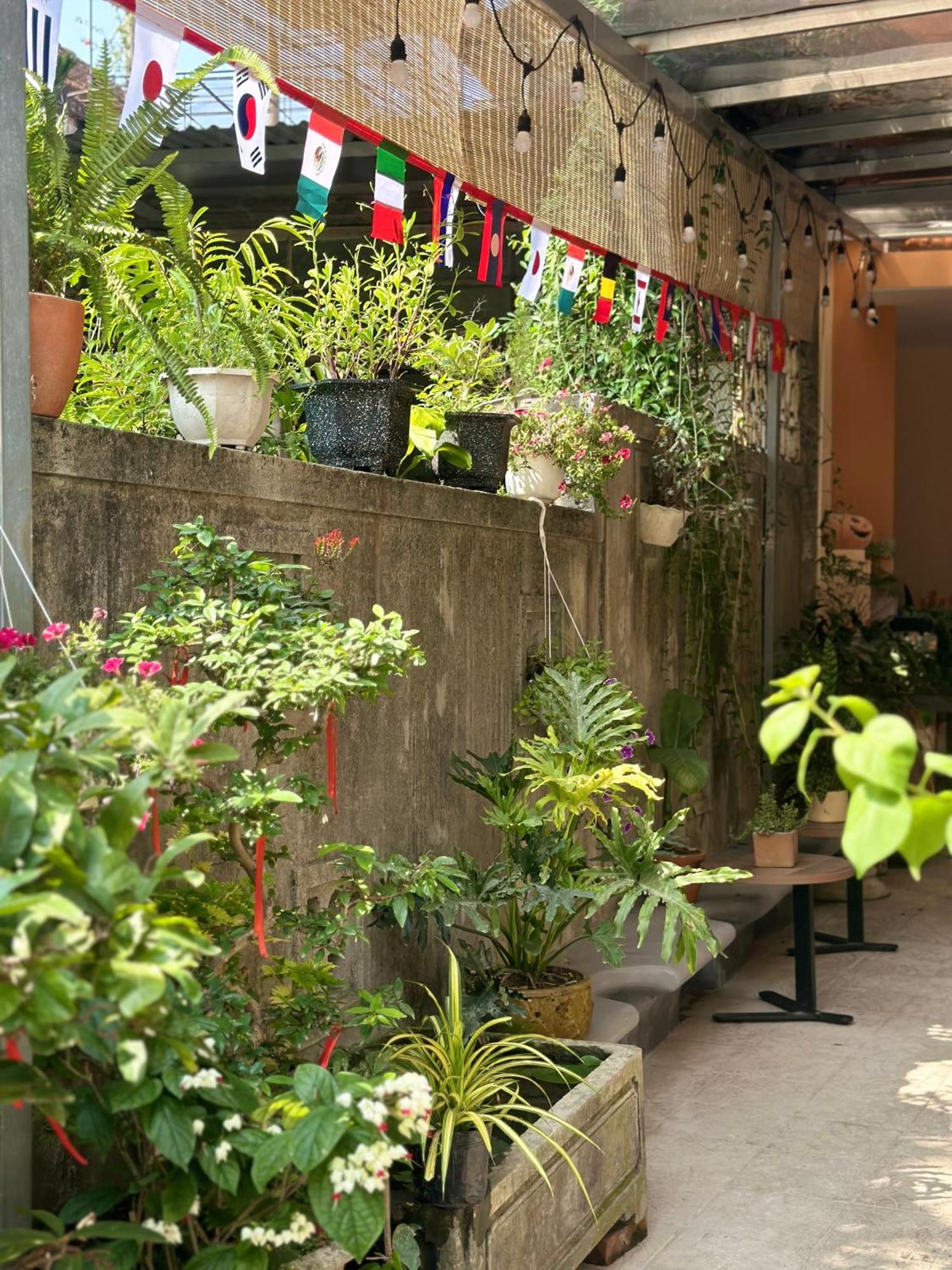 Chi'S Homestay & Coffee هوي المظهر الخارجي الصورة